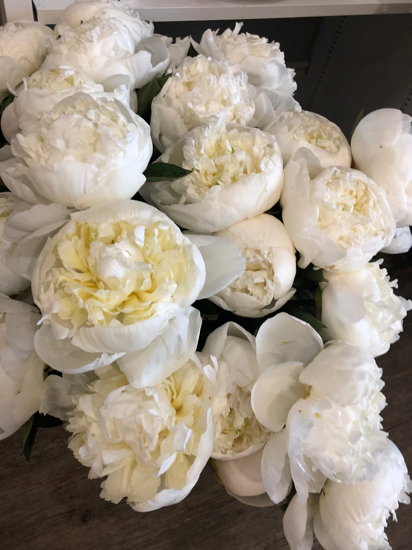 Peony Subscription