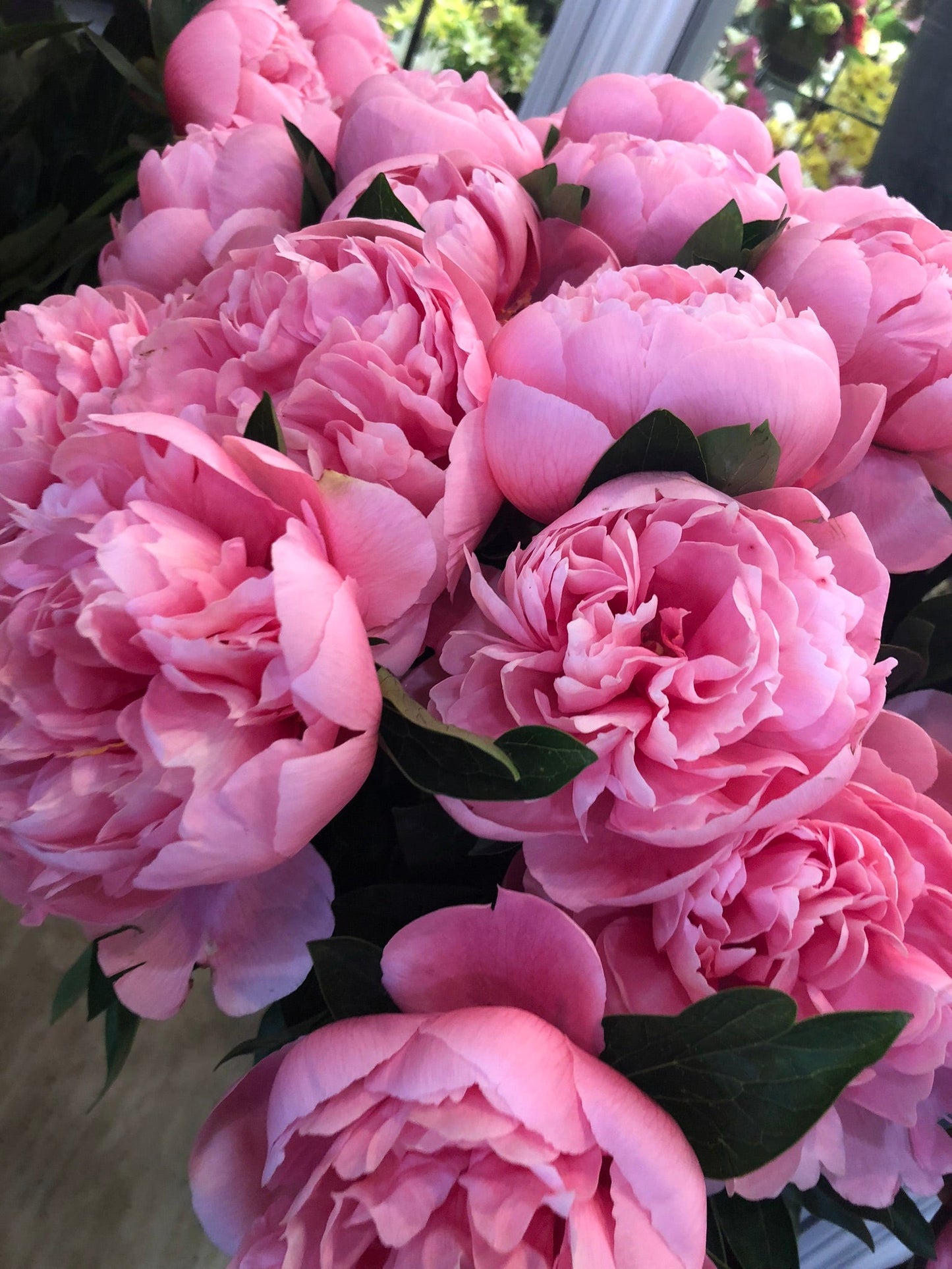Peony Subscription