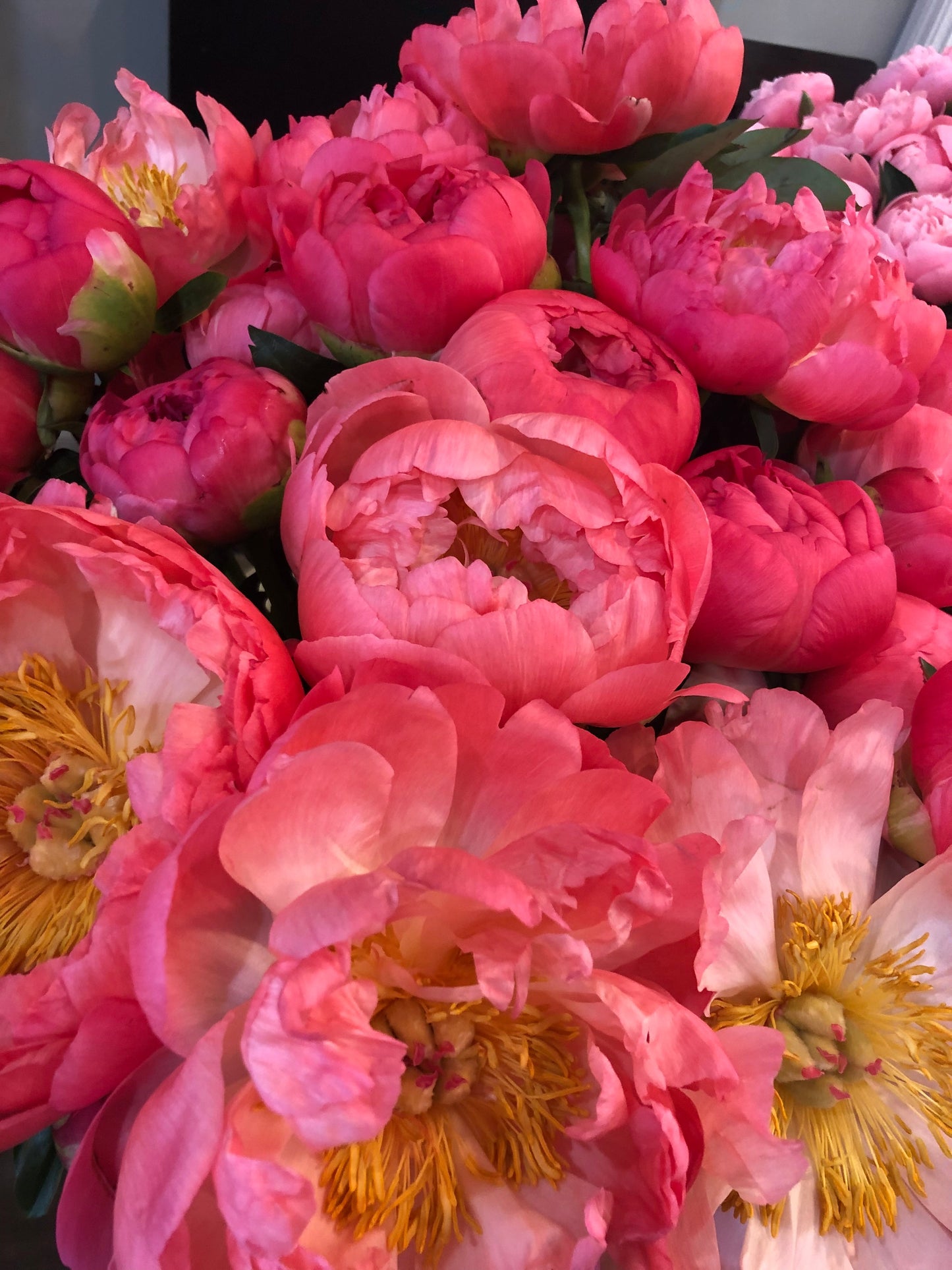 Peony Subscription