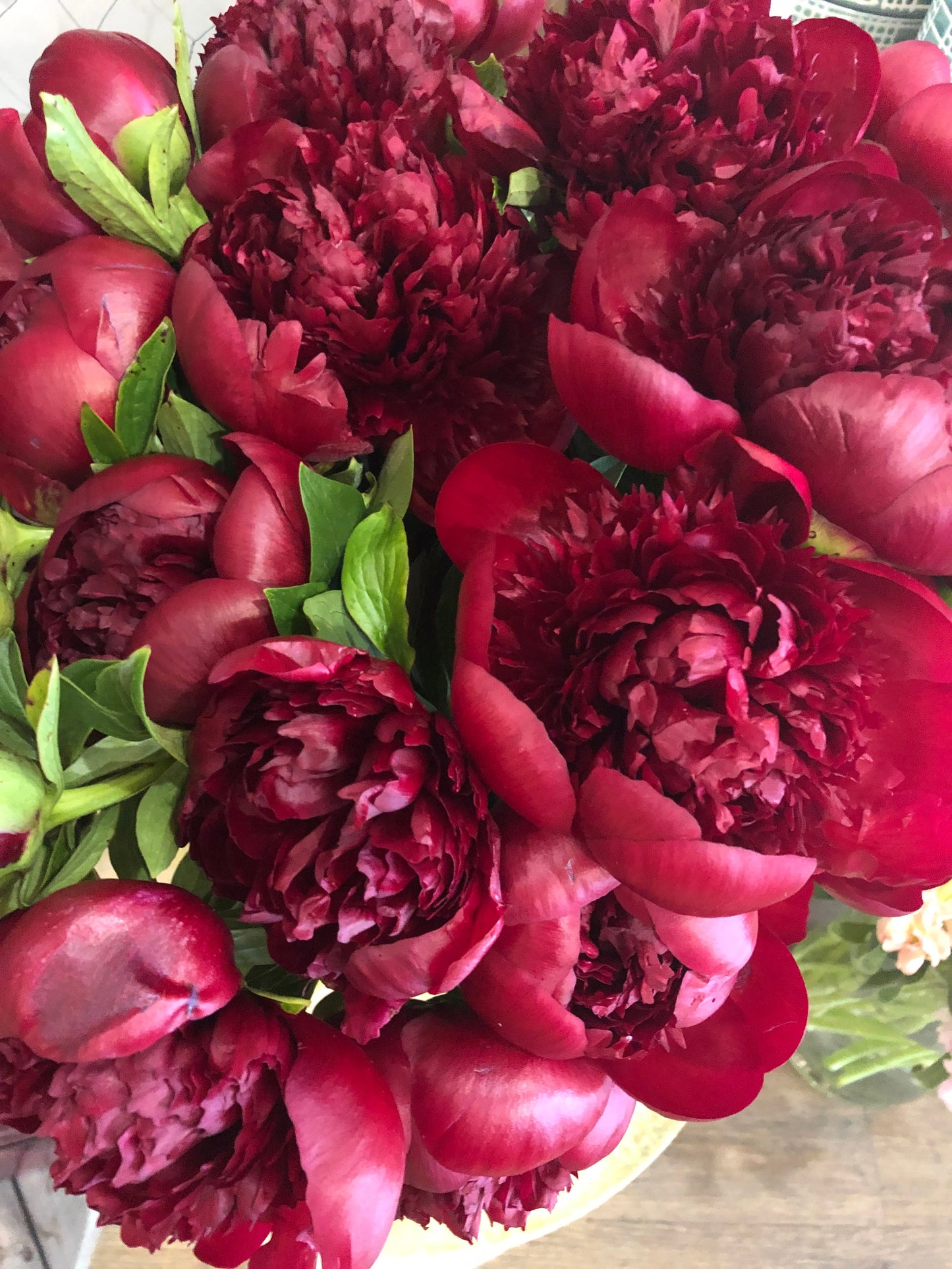 Peony Subscription