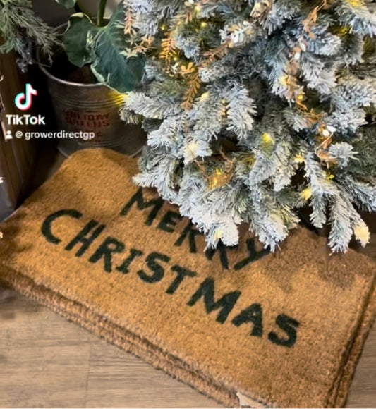 Merry Christmas door mat