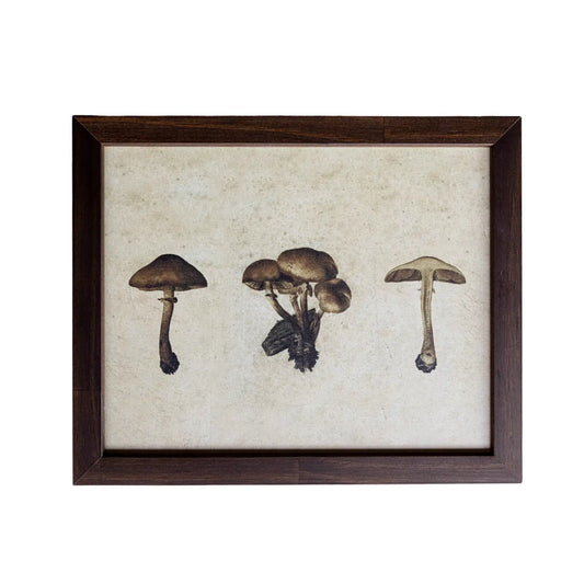 Button Mushrooms Hazelnut Framed Art